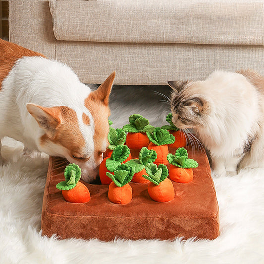 Carrot Plush Chew Toy